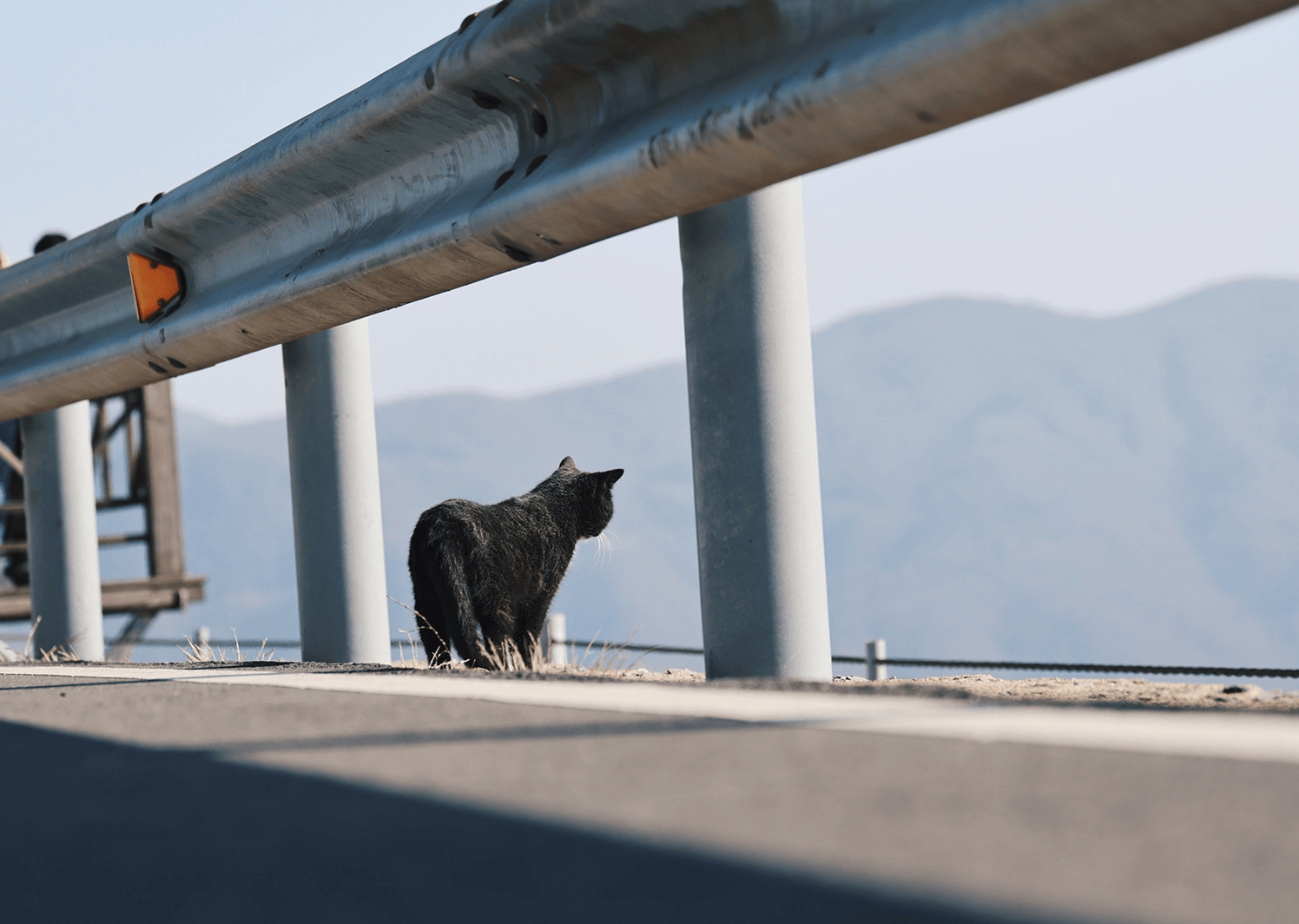 海外B2B企业在AI搜索与传统搜索的销售漏斗分析